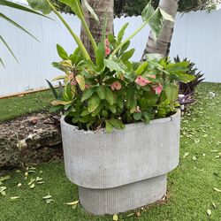 Huge planters for backyard