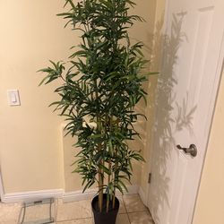 Tall Faux Willow/Ficus Tree – 6ft Artificial Plant