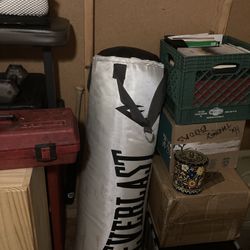 70lb Heavyweight Punching Bag Plus Ceiling Mount 