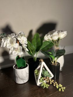 Artificial Plant Bundle