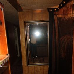 Large Mirror Very Nice ($75)