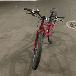 Trek Precaliber 24 8-speed suspension