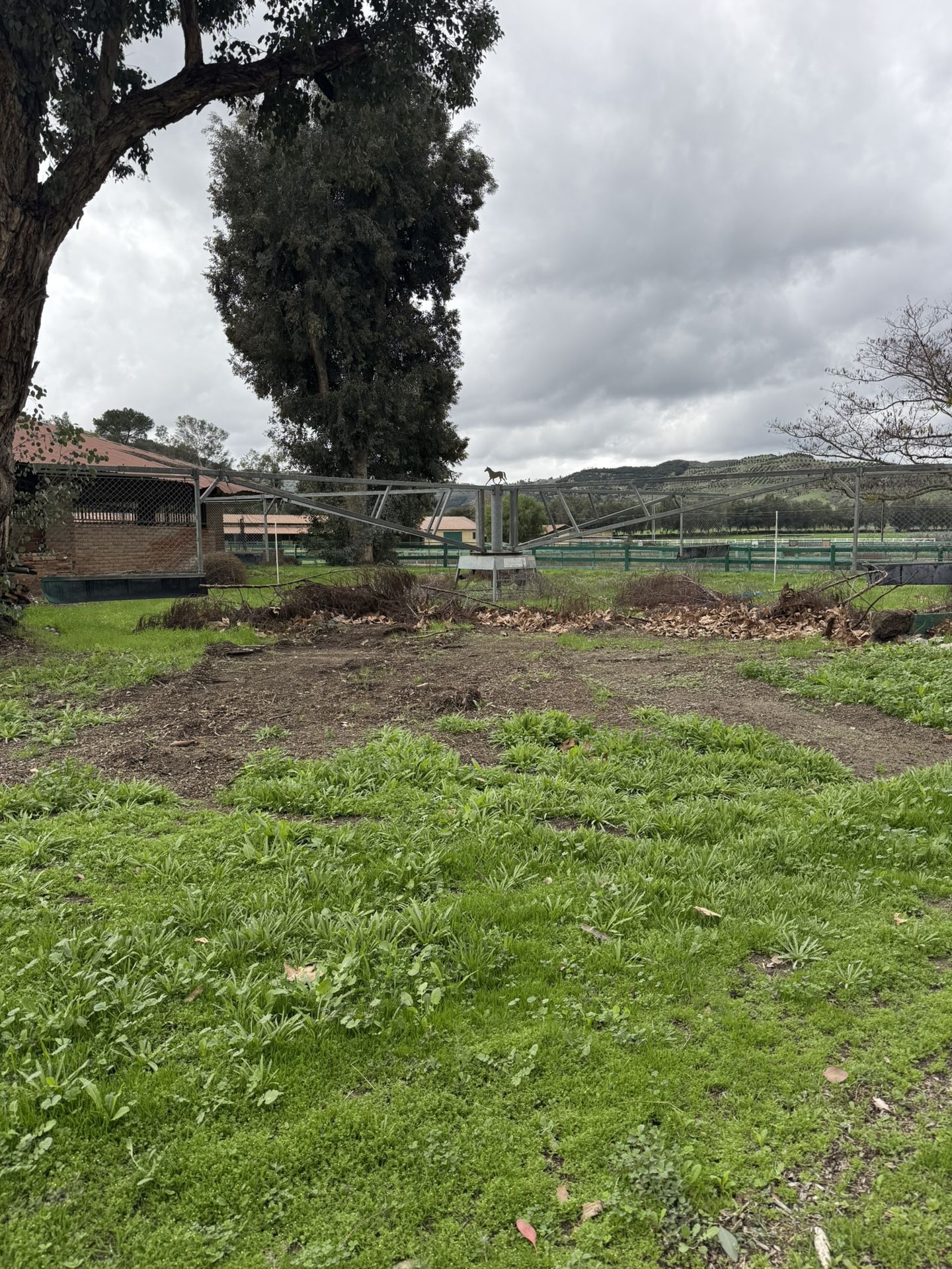 Equi-Ciser Commercial 4-Horse Hot Walker – Working – Buyer Removes