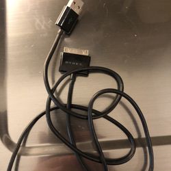 Dynex 30 Pin Charger 