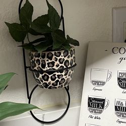 Adorable HAND PAINTED Leopard Print Planter🐆🌿🐆🌿🌿