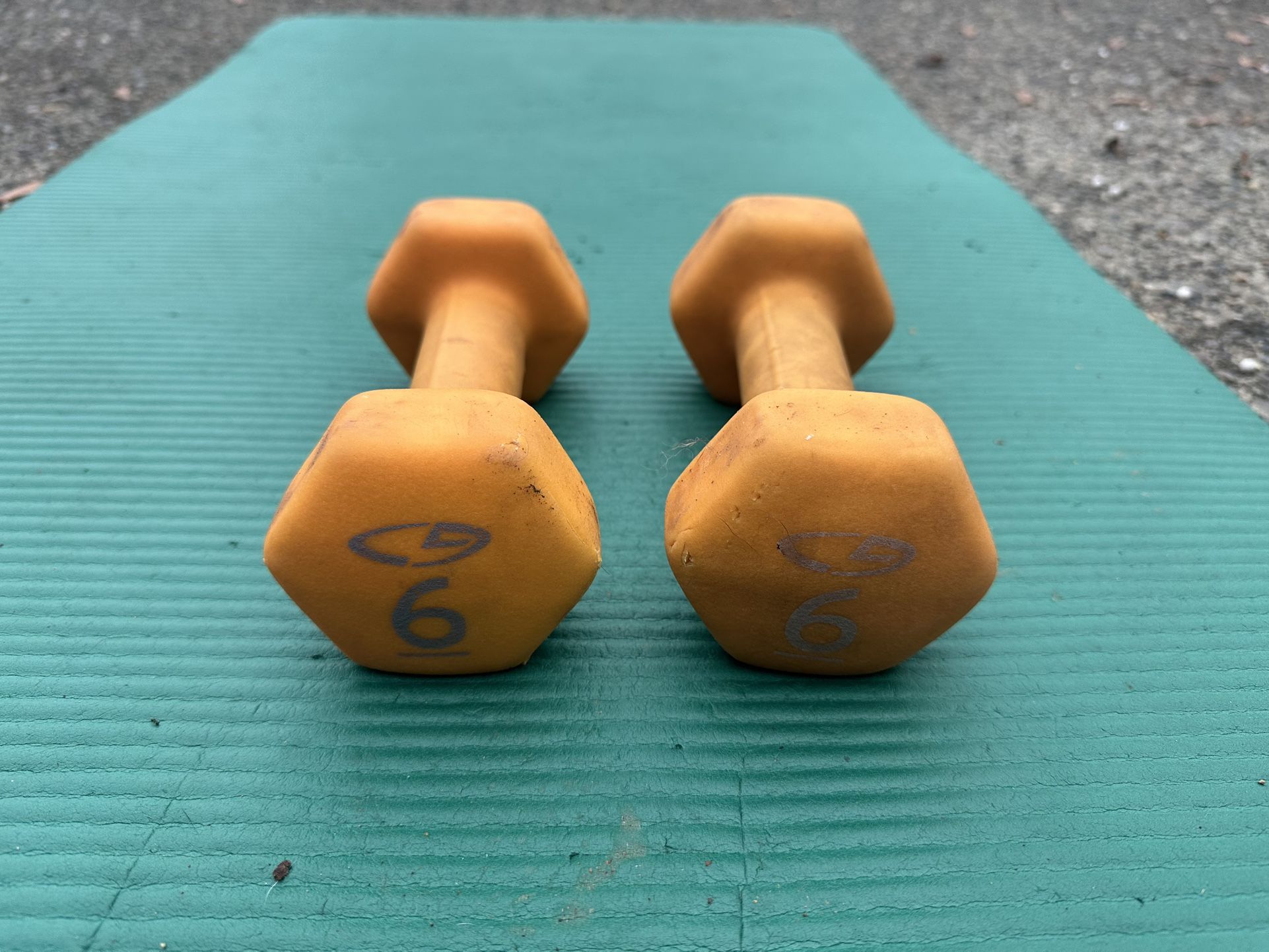 Used 6lbs dumbbells