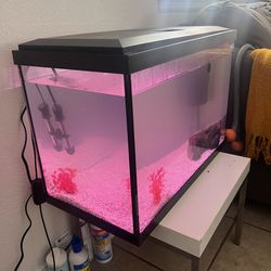 Pecera Seminueva  De 20 Galones 