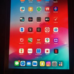 iPad 5th Gen 128 Gb 