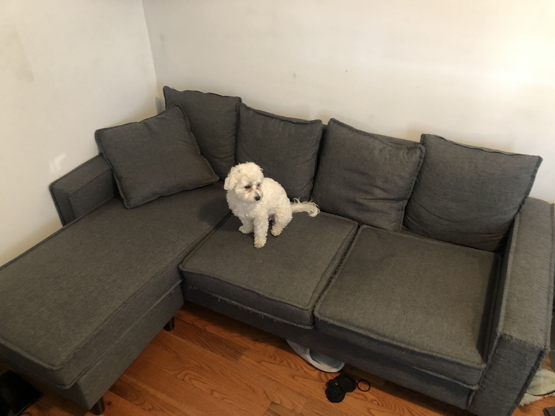 Small sectional grey couch