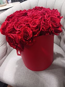 Forever Roses Preserved No Water Needed 2 Dozen Red Roses (Last up to 1-2 years)