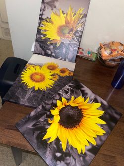Sunflower pictures for sale
