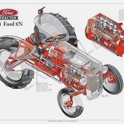 1950 Ford 8n Tractor