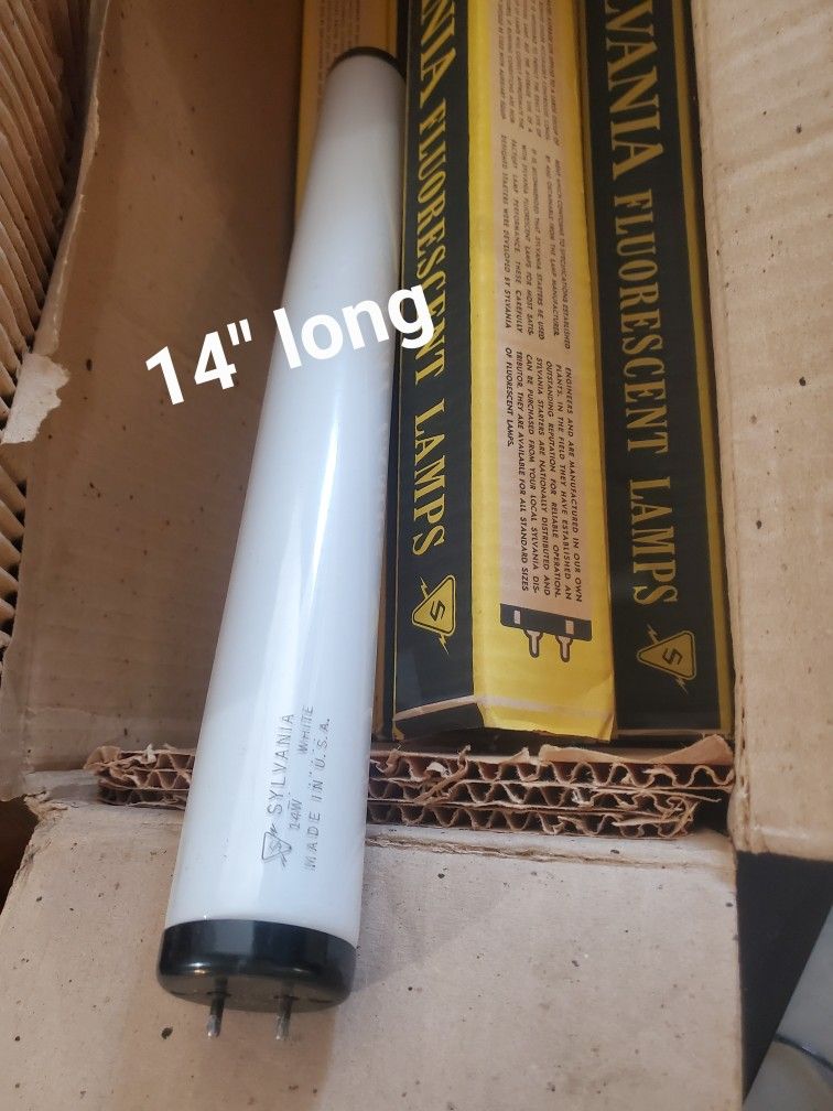 Specialty Light Bulbs