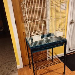 Bird Cage 