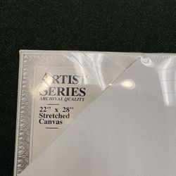 Stretched Canvas  22" x 28" "Artist Series" Brand | 6 Canvases 22" x 28" Stretched Canvas | Six Canvas 