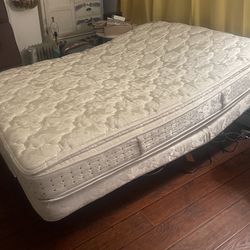 Orthomatic Adjustable Bed With Queen Chiropractic Mattress