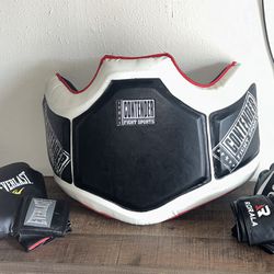 Boxing Gloves & Body Shield 