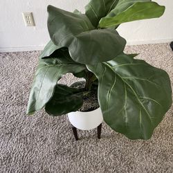 Fake Plant w/stand