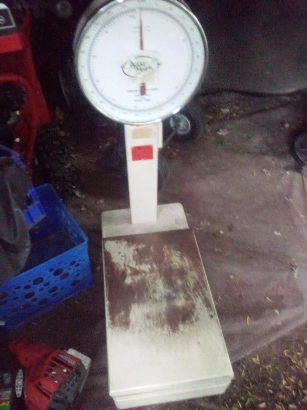 Nice Scale