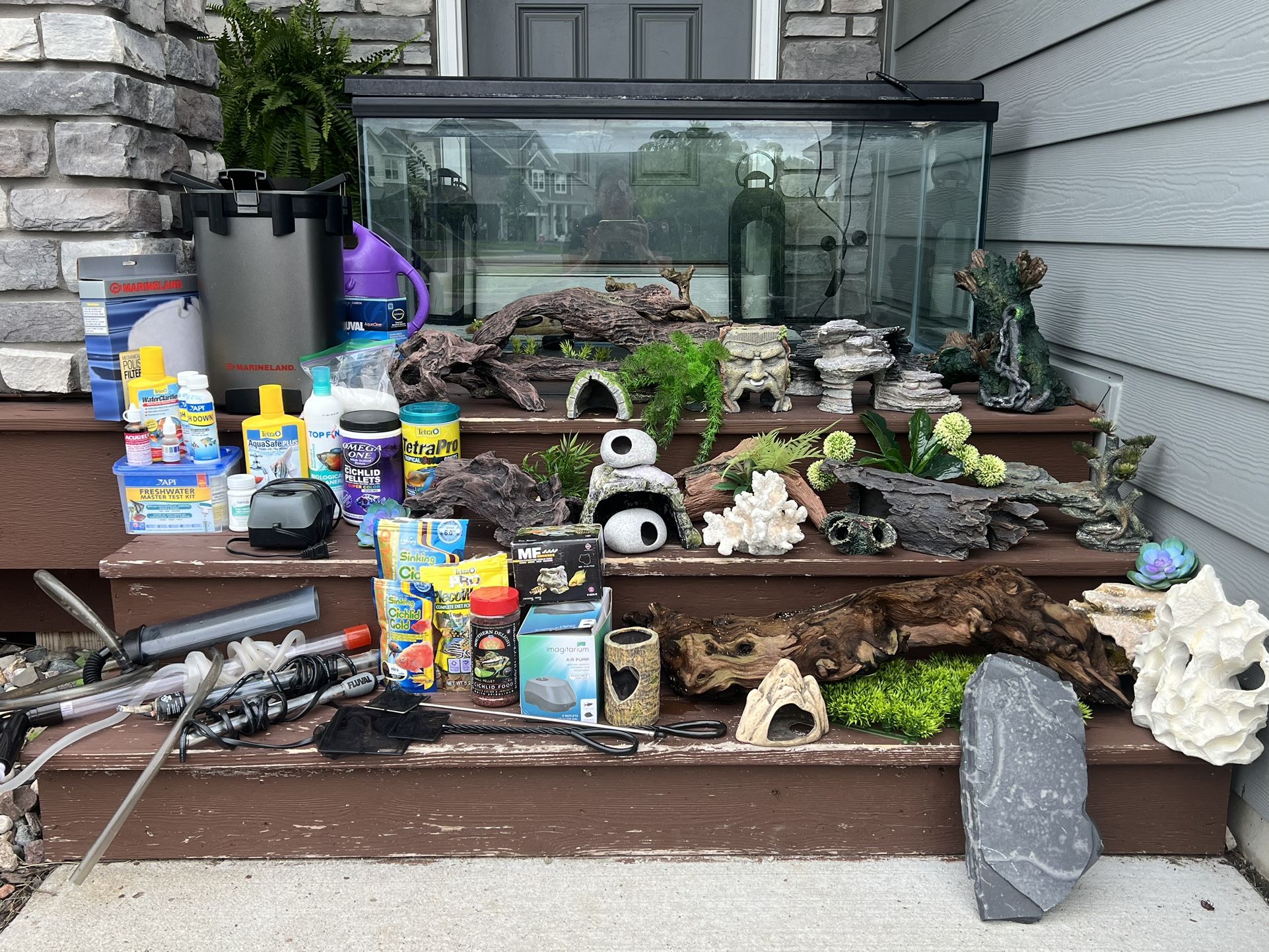 Fish Tank - Complete Set up And More
