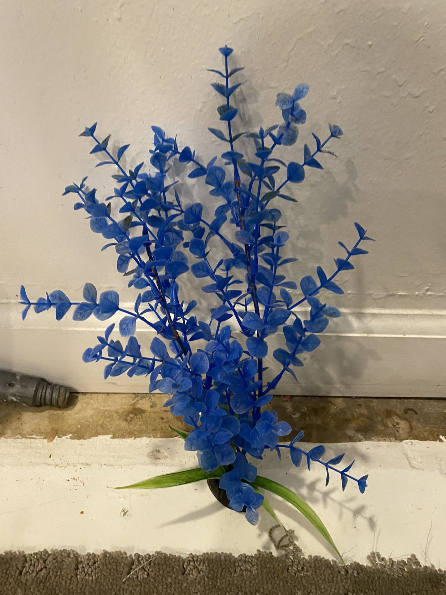 Used Top Fin Hexagon Aquarium 20 Gallon