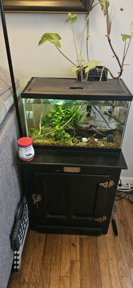 Fish Tank