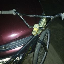 SE 29 Inch Beast Mode