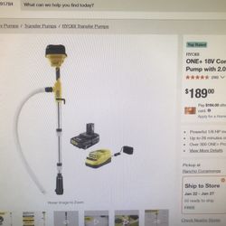 RYOBI ONW+18V Cordless 1/6 HP Telescoping Pole Pump With 2.0 Ah Battery and Character 