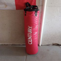 Punching Bag