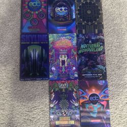 Insomniac 3D Lenticular Festival Magnet EDC