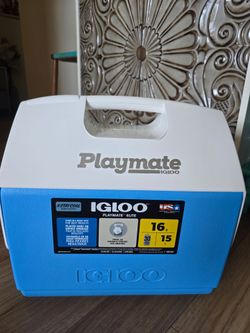 IGLOO PLAYMATE COOLER