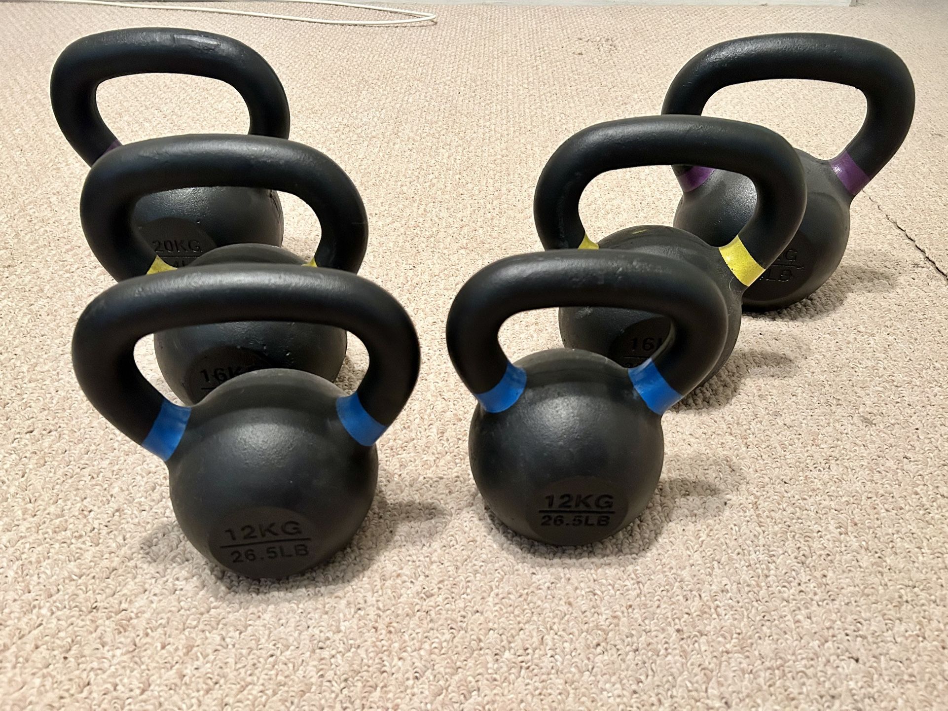 6 Piece Cast Iron Kettlebell Set