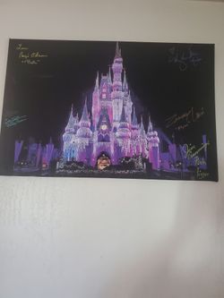 Disney Castle Canvas Print signed