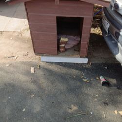 casita para perro