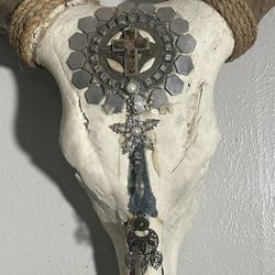 Longhorn Skull // XL Horns