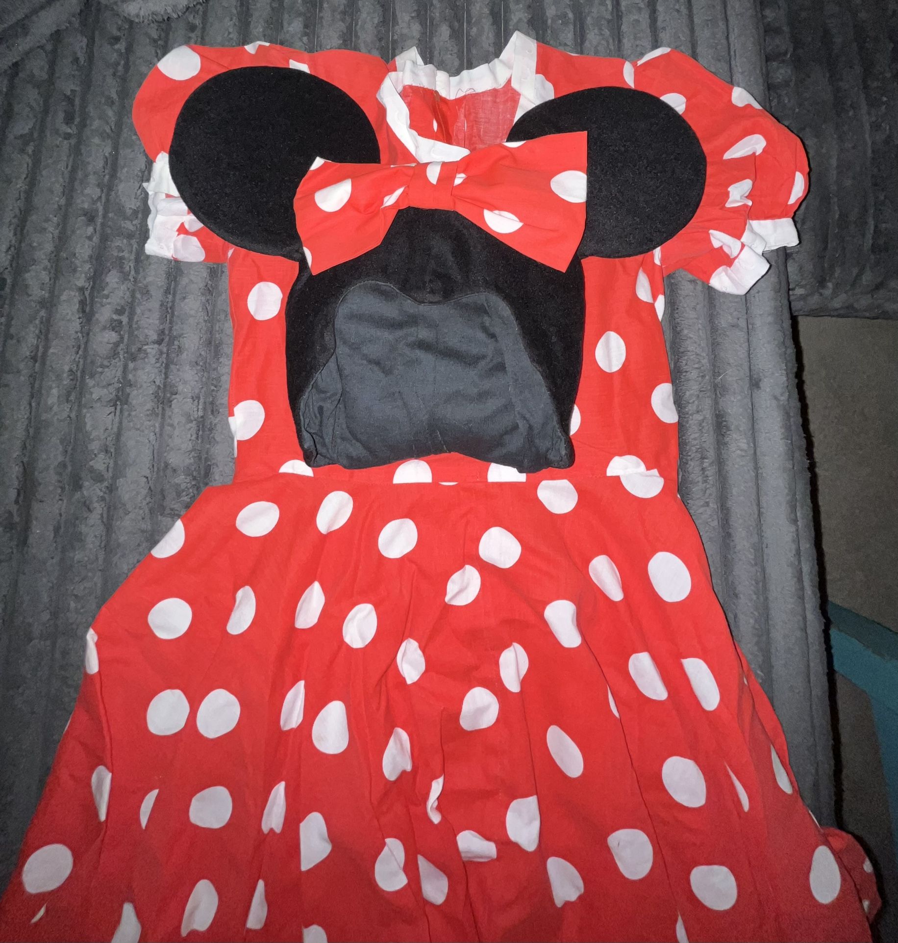 Minnie Mouse Costume
