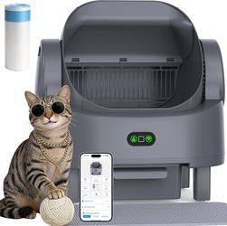 Automatic Litter Box, Open Top