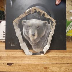 Mat Jonansson Glass Bear Unwanted
