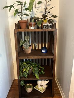 Plant Stand