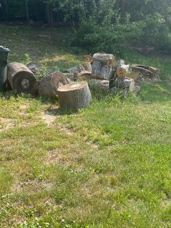 Tree Logs