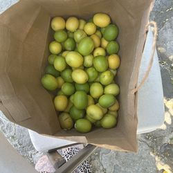 Organic lemons