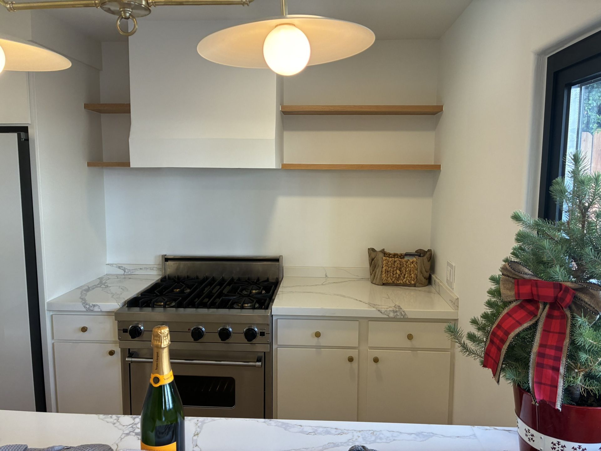 Viking Professional Range 30 36 48