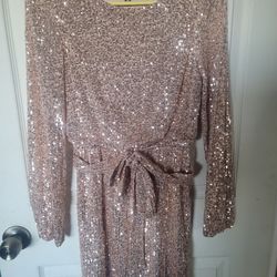 Beautiful  Sequence dress