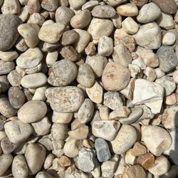 White River Rock - Yard