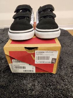 Dalmatian VANS