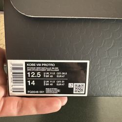 Venice Beach Kobe 8s