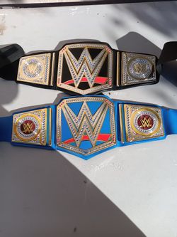 WWE 2014 Kids Championships