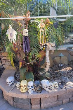 Halloween Skulls and Skeleton Decorations