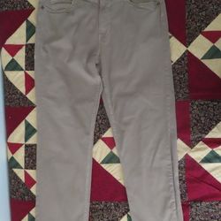 Ecoths Mens Flat Front  Casual hiking Pants beige Size 36x31