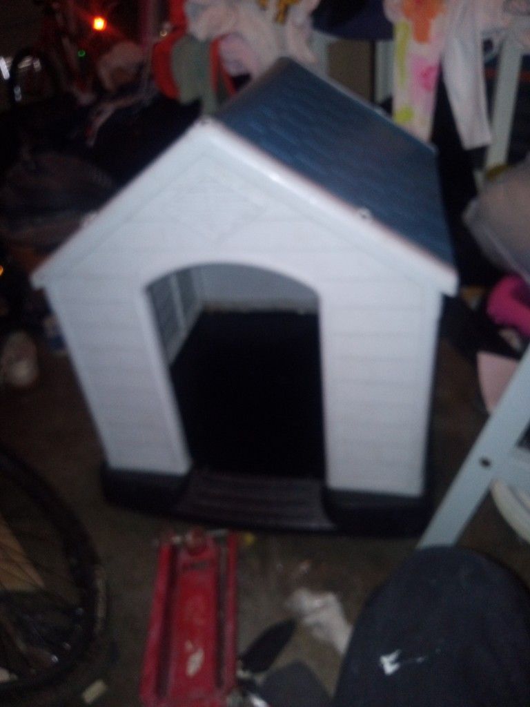 Dog House